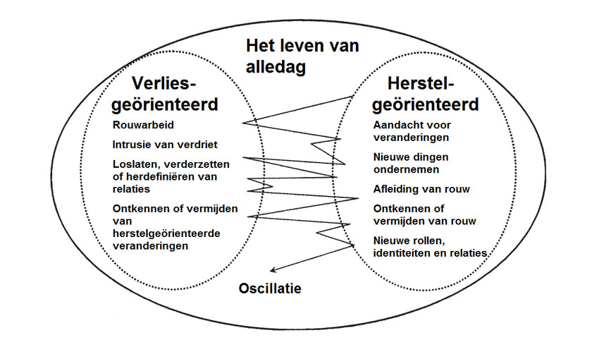 het duale procesmodel van rouw naar Stroebe en Schutt
