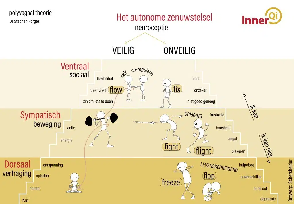schematische weergave Polyvagaal theorie