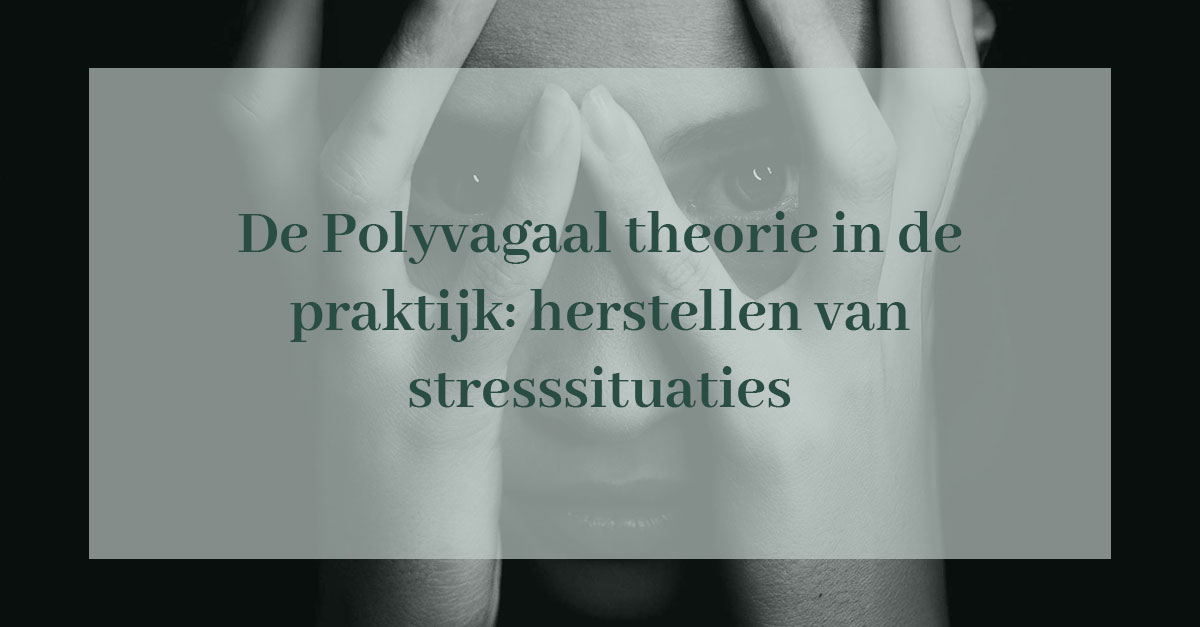 Hartenweg | Polyvagaal Theorie Praktijkvoorbeeld - Hartenweg